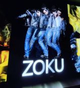 1 x Original LENTICULAR Light Box WALL ART by the Renowned Photographer and Artist DERRICK SANTINI