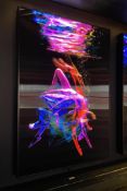1 x Original LENTICULAR Light Box WALL ART by the Renowned Photographer and Artist DERRICK SANTINI