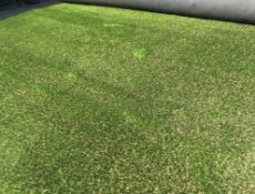 1 x Playrite Nearly Grass - Artificial Grass/Turf - 30X4 Meter Roll - Ref: NWF022 - CL912 - NO VAT
