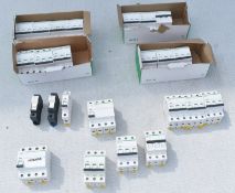 Assortment of Schneider Electric MCB Breakers - Various Types Included