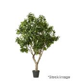 1 x Faux Extra Large Realistic Fiddle Leaf Fig Tree in Green - Original Retail £2,995.00