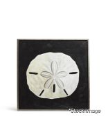 1 x Calliope Sand Dollar Printed Wall Art, Hand Finished in Oil Paints - Original Retail £495.00