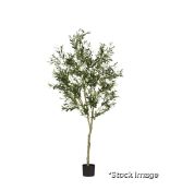1 x Faux Large Potted Olive Tree - Black - Original Retail £425.00 - Ref: NA/NPT003PGBLK-0/P28 - CL9