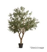 1 x Faux Extra Large Potted Olive Tree - Black - Original Retail £2,995.00 - Ref: NA/A16097-1-10-103