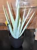 1 x Faux Potted Aloe Vera Plant - Green - Original Retail £75.00