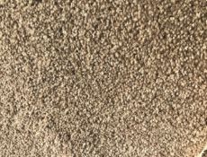 1 x GODFREY HIRST Detroit Collection Carpet In Doeskin - 25X4M Roll - 100sqm Total - RRP £7500 -