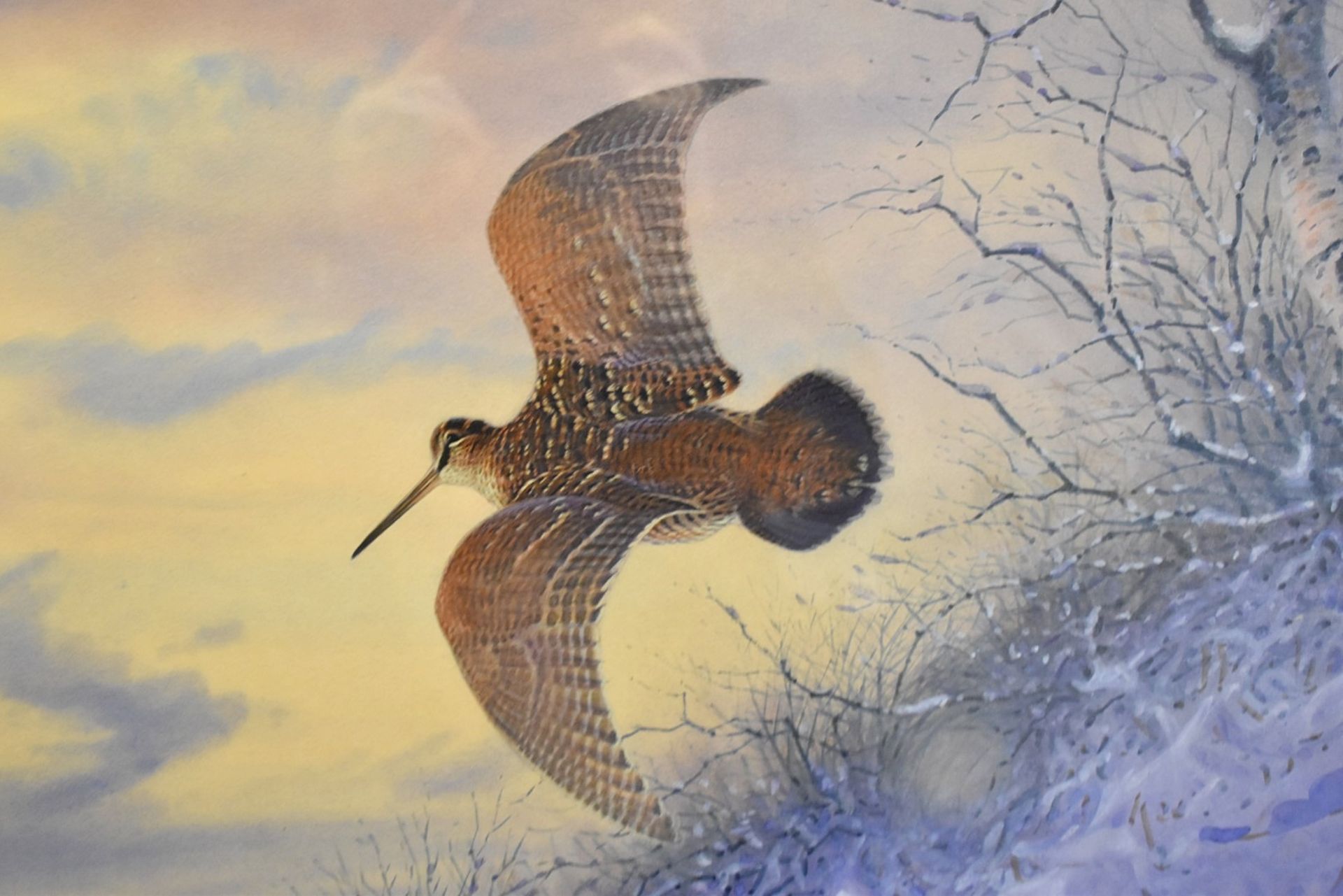 1 x Framed Fine Art Print Featuring a Bird in Flight, Presented in an Ornate Antique-style Frame - Image 6 of 9