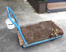 1 x Transport Trolley in Blue
