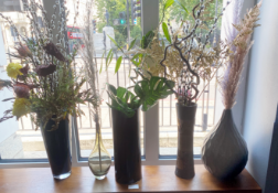 5 x Assorted Vases Containing Artificial Plants