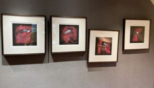 1 x Set of 4 Limited Edition Pictures - Ref: BLN119 - CL939 - NO VAT ON THE HAMMER - Location: