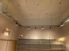 1 x Industrial Style Suspended Metal Lighting Tray with 10 x Spot Lights