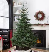 1 x BALSAM HILL 'Normann Fir' Luxury 7ft Candlelight Christmas Tree - Original Price £809.00
