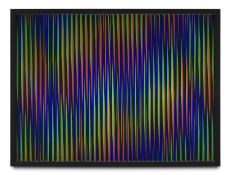 Max Coor. Los colores del colibri. Um