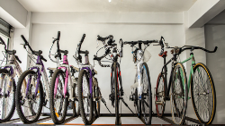 Contents of a Bicycle Shop | Bicycles, Wheel Rims, Tyres, Chains, Brakes, Pedals, Inner Tubes, Pumps, Helmets & More