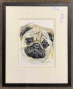 Jo McGrath (British, contemporary), Pug, watercolour and graphite on paper, signed, 17x22cm,
