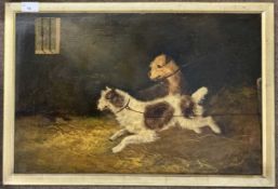 D.Varley (British, 19th century), Terriers Chasing a Rat in a Barn, oil on board, signed, 5x35.