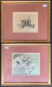 M. Tudor Pole (19th century) Pair of botanical watercolours, signed / initialed and dated 1899,