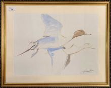 Simon Trinder (b.1958) Ducks in flight, watercolour, signed, 33x45cm, framed and glazed