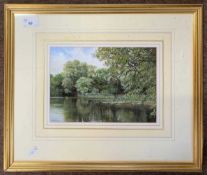 Peter Barker (b.1954) 'The Carp Pool', watercolour, signed, pastel, 17.5x25cm, framed and glazed