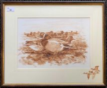 Simon Trinder (b.1958), 'Wigeon', sepia watercolour, additional vignettes to lower right of mount