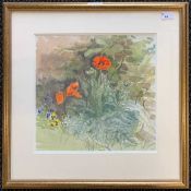 Phyllis Ginger R.W.S. (1907-2005), 'Poppies and Pansies', watercolour, 35x36cm, framed and glazed