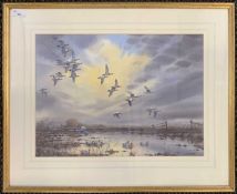 Simon Trinder (b.1958), 'Wigeon at Sunset', watercolour, signed, 33x46cm, framed and glazed