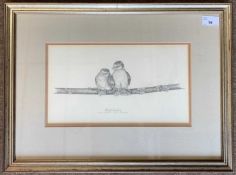 Micheal N.Oxenham (b.1949), 'Blue-Tit Fledglings', original pencil study from which a limited