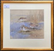 Roland Green (1890-1972), 'Snipe in a Marsh', watercolour, signed, 20x23.5cm, framed and glazed