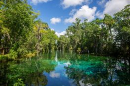 Explore Citrus County, Florida: Vacant Lot in Crystal River! Adjacent to Lot 26