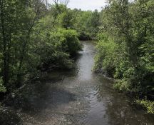 1.40 Acre Riverfront Lot in Michigan!