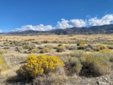 40 Scenic Acres in Elko County, Nevada!