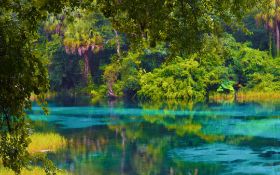 Discover Homosassa Springs in Citrus County, Florida! Adjacent to Lot 34!