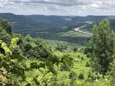 Build Your Dream Retreat on Four Picturesque Lots in Ozark Acres, Arkansas!