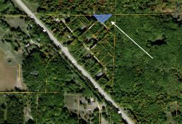 Wooded Michigan Lot Waiting to be Built On!