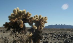 Opportunity Awaits: Build Your Future Near the Salton Sea in Imperial County, California!
