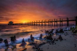 Become A Floridian! Own Land in Charlotte County!
