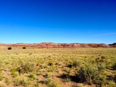 Own 1.32 Acres of Arizona Property!