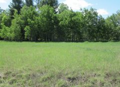 Iosco County, Michigan: Prime Golf Course Lot Available!