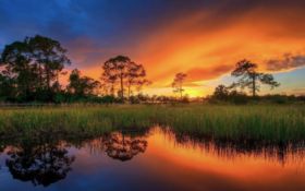 Discover Homosassa Springs in Citrus County, Florida! Adjacent to Lot 34!