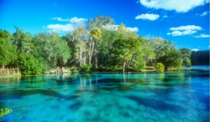 Citrus County: Own a Lot in Florida's Best Place to Retire! Adjacent to Lot 42!
