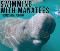 Explore Homosassa, in Citrus County, Florida!