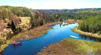 Kalkaska County, Michigan: Walk to Manistee Lake from this Lot!