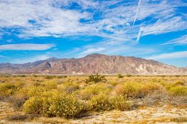 Explore Imperial County's Sand Dunes in CA!