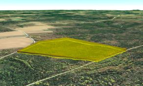 Aroostook County: 49.9 Acres of Maine Wilderness!