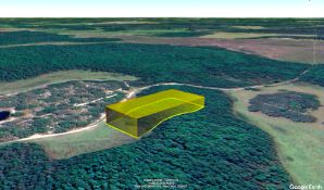 Serene 1.25-Acre Wooded Lot Near Polk City, Florida!