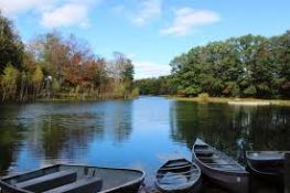 Antrim County: Have a Beautiful Getaway Spot in Michigan!