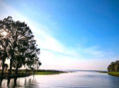 One Acre of Florida Close to Many Lakes!