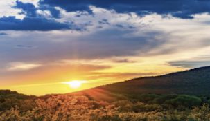 Cochise, AZ: Your Affordable Investment Opportunity Awaits!