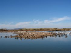 5 Acres of Mountain Views in Imperial, CA!