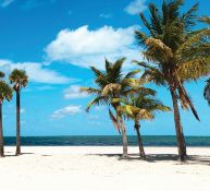 Two Adjacent Lots in Charlotte County, Florida! Adjacent to Lot 44!